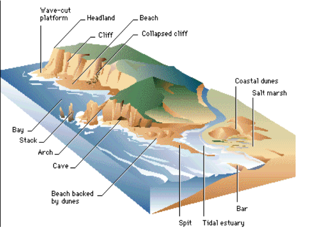 IGCSE - Geography Class Notes